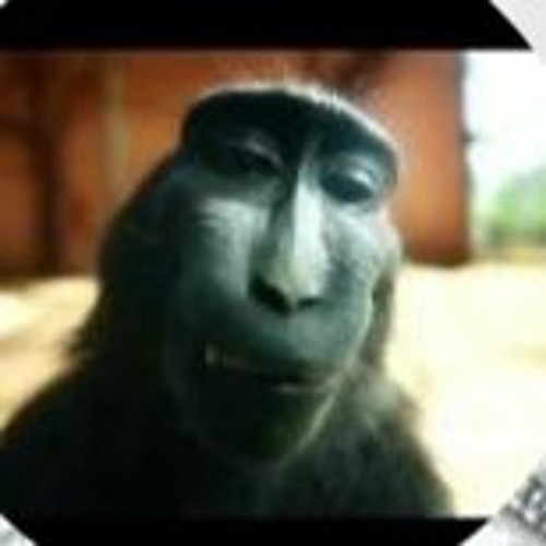 hookboy08 treat me like white tee