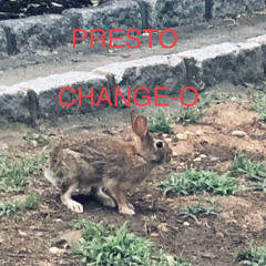 Presto Change-O.        (c2021)