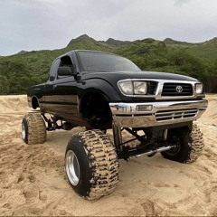 Hawaiis Finest 🔥💨