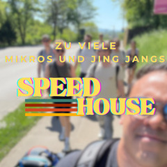 Speedhouse auf Mikros und Jing Jangs @Studio72