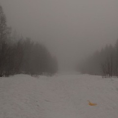 autumn snow (desc)