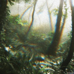 Dibiflipsessions 1