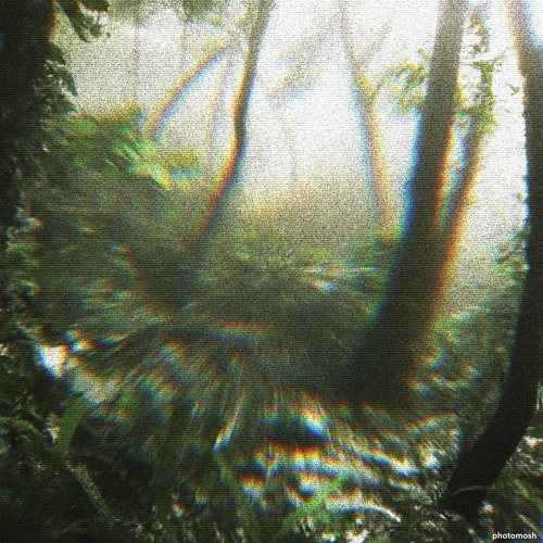 Dibiflipsessions 1