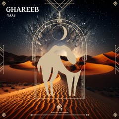 YAAS - Ghareeb (Radio Edit) [Cafe De Anatolia]