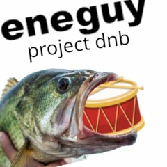 project dnb