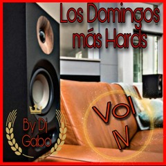 Los Domingos Más Hards Vol.4 By Dj Gabo