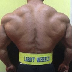 Larry Wheels X Veilleicht Veilleicht