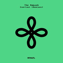 The Ambush - Everlast (Jaap Ligthart Breakbeat Remix)