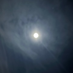 Babylon Gonna' Fall - Saina & Jah'nny