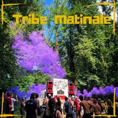 Tribe Matinale 2