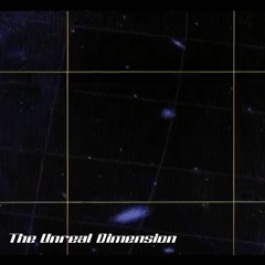 The Unreal Dimension