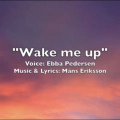 Wake me up.wav