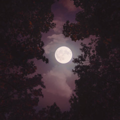 NIGHT TIME