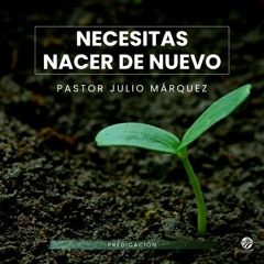 Julio Márquez - Necesitas nacer de nuevo