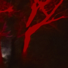 Pierwszy Strzał 22122025