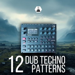 SYNTAKT-DUB-TECHNO-PROJECT-01-2024