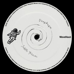PREMIERE | Deephope - Subtle Thieves [WaveNaut]