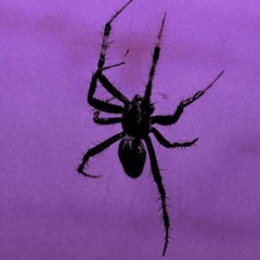 +TeRiFiEd+ (Prod. HeLL$Hot)