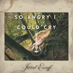 So Angry I Could Cry