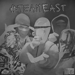 Team east bass boosted