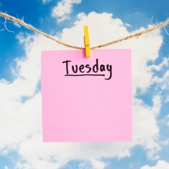 tuesday