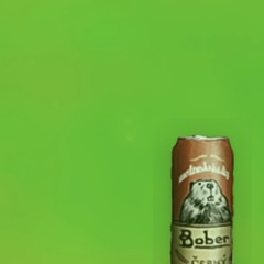 Bóbr