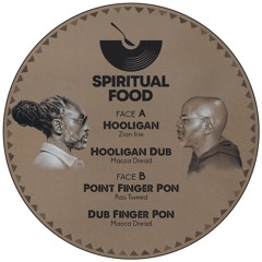 Hooligan / Point Finger Pon - ZION IRIE / RAS TWEED