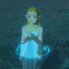 zelda prod.zxlda