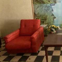 Mibevoillago