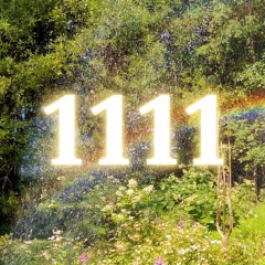 When the Light Aligns