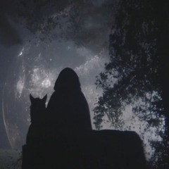 Nihil inultum remanebit