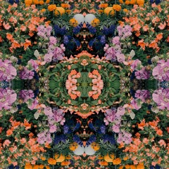 flora tape