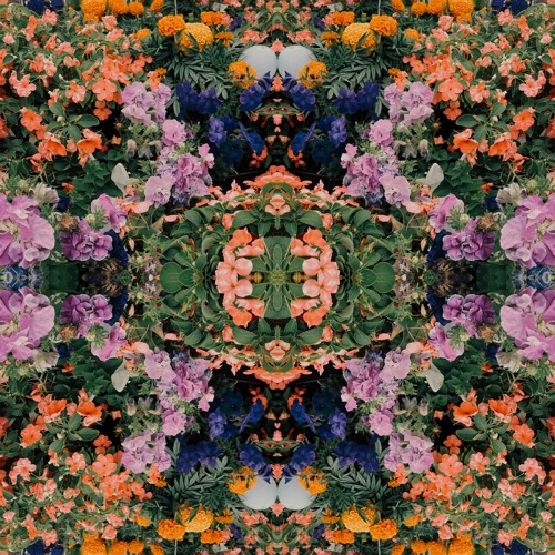 flora tape