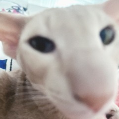 Suicidal-Idol Right Next 2 U （╹◡╹）