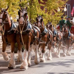 Best Things To Do In Northern Colorado This Weekend Tours Review