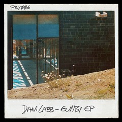PRY006 | Dani Labb - "GUNBY" EP