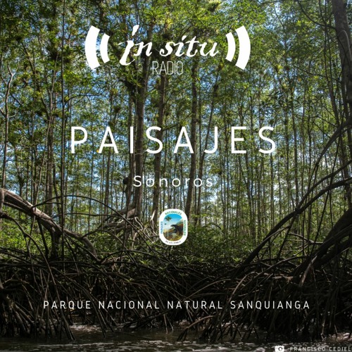 sopa Sotavento cocina Stream Parque Nacional Natural Sanquianga by In Situ Radio | Listen online  for free on SoundCloud