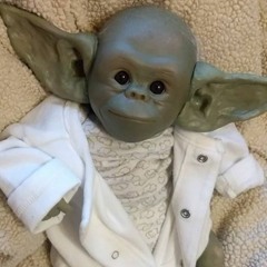 Baby Yoda On Crack