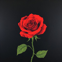 (You Make Me Feel Like) a Natural Woman