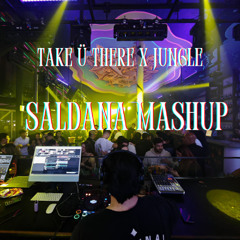 Take Ü There vs Jungle (Saldana mashup)