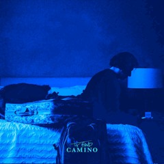 The Band CAMINO - fool of myself (REVERB)