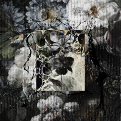 Graave - Ruferbloom