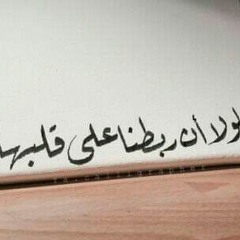 سورة القصَص - القارئ عُمر الدريويز (مؤثّر)