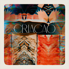 Get To Know - Criacao