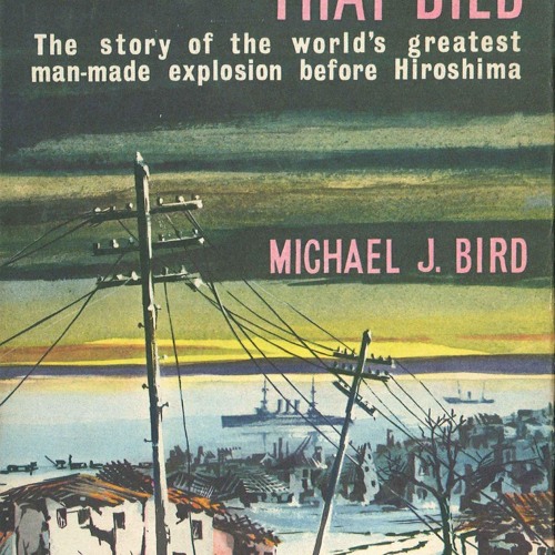 ❤read⚡ The Town That Died: The Story of the World's Greatest Man-Made Explosion