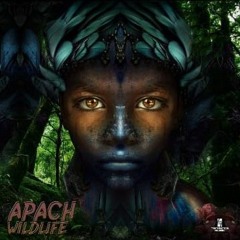 APACH [ Wildlife ] Album Preview  [20.5.2020 on (Tendance Music)]