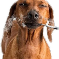 Ustarel - M1R4 ( bass boosted )