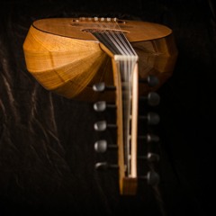 New Large Oud built by Sebastian Stenzel