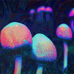 黑人抬棺材PSYTRANCE Mix