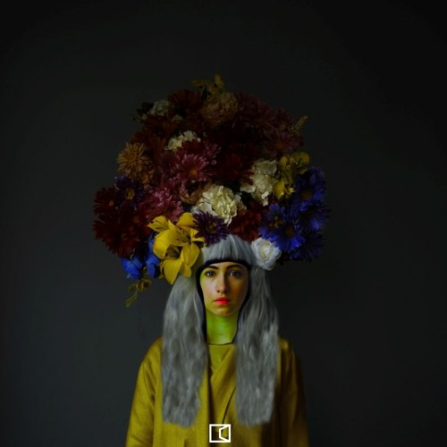 The Allegorist - Disillusion Echoes [ACH001 | Premiere]